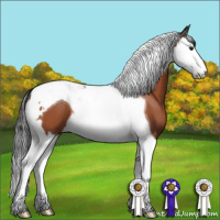 Horse Color:Brown Splash Tobiano 