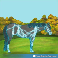 Horse Color:Thunderstruck Grullo 
