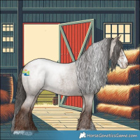 Horse Color:Liver Red Dun Roan Sabino Varnish 