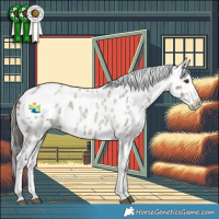 Horse Color:White Spotted Liver Red Dun Roan Appaloosa 