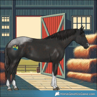 Horse Color:Liver Chestnut Tobiano 