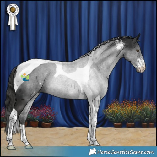 Horse Color:Liver Chestnut Sabino Tobiano 