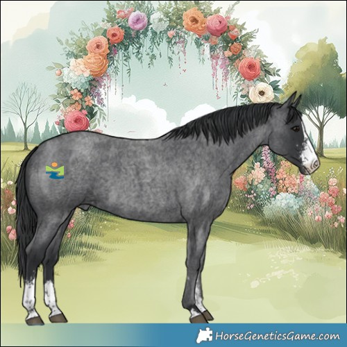 Horse Color:Blue Roan Sabino 