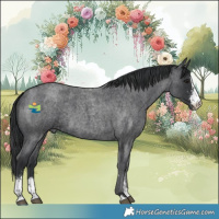 Horse Color:Blue Roan Sabino 
