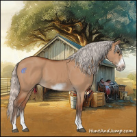 Horse Color:Silver Bay Dun Sabino Tobiano Frame Rabicano 
