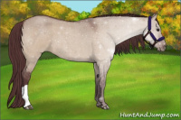 Horse Color:Chocolate Brown Roan Dun