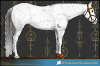 Horse Color:Bay Sabino 