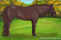 Horse Color:Chocolate Brown 