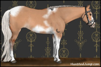 Horse Color:Silver Bay Dun Sabino Tobiano Frame Rabicano 