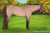 Horse Color:Chocolate Bay Roan Dun