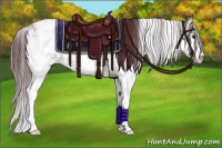 Horse Color:Chocolate Brown Sabino 