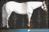 Horse Color:Gray Liver Red Dun Brindle 