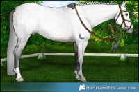 Horse Color:Gray Bay Roan Dun Brindle 