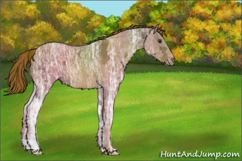 Horse Color:Chestnut Ice 