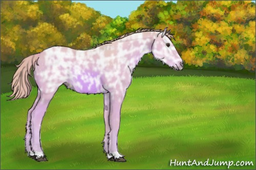 Horse Color:Watercolor Chestnut Ice 