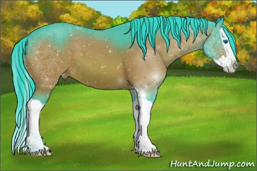 Horse Color:Watercolor Brown Splash Appaloosa 