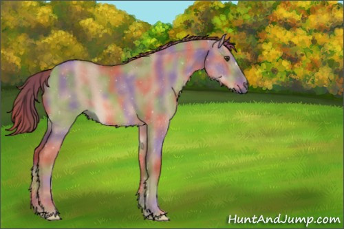 Horse Color:Nacre Red Dun 