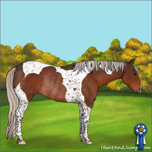Horse Color:Silver Bay Tobiano Rabicano 