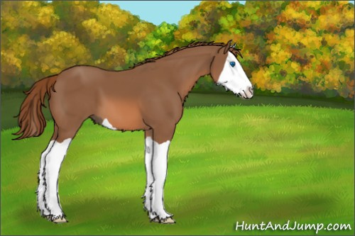 Horse Color:Chestnut Splash 