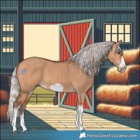 Horse Color:Silver Bay Dun Sabino Tobiano Frame Rabicano 