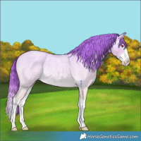 Horse Color:White Spotted Red Dun Chinchilla Roan Splash Rabicano 