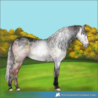Horse Color:Gray Void Nacre Silver Amber Champagne Dun Tobiano Rabicano