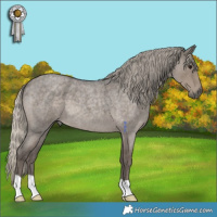 Horse Color:Silver Smoky Grullo Roan 