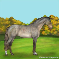 Horse Color:Chocolate Palomino Roan 