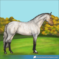 Horse Color:Silver Buckskin Roan Dun 