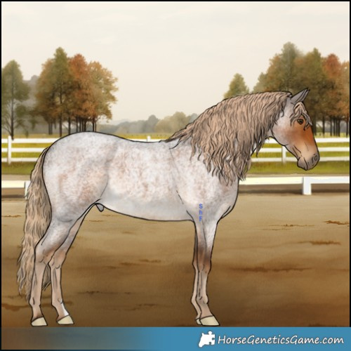 Horse Color:Chocolate Palomino Roan 