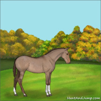 Horse Color:Liver Red Dun Tobiano