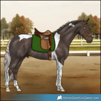 Horse Color:Silver Black Tobiano Rabicano 