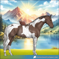 Horse Color:Silver Black Tobiano Rabicano 