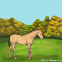 Horse Color:Amber Cream Champagne 