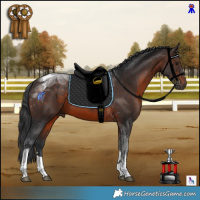 Horse Color:Brown Tobiano