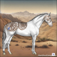 Horse Color:Brown Dun Sabino Splash 