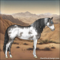 Horse Color:Blue Roan Sabino Frame 