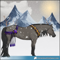 Horse Color:White Spotted Grullo Rabicano 