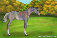 Horse Color:Nacre Silver Black Tobiano