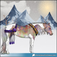 Horse Color:Nacre Silver Brown Dun Tobiano 