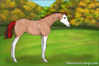 Horse Color:Painted Bay Roan Sabino Splash