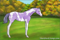 Horse Color:Watercolor Bay Ice Splash Tobiano Rabicano 