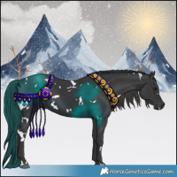 Horse Color:White Spotted Black 