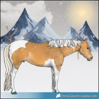 Horse Color:Silver Buckskin Tobiano 