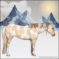 Horse Color:White Spotted Red Dun 
