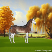 Horse Color:Gray Brown Splash Appaloosa Rabicano 