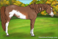 Horse Color:Chestnut Frame 