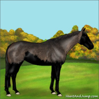 Horse Color:Void Brown Roan Dun Splash 
