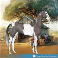 Horse Color:Smoky Grullo Splash Tobiano 