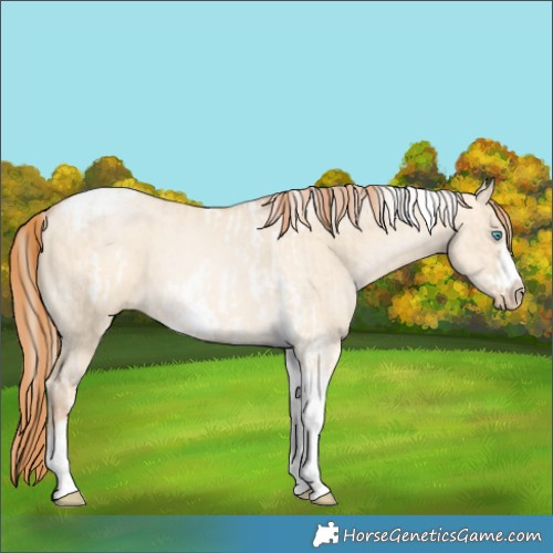 Horse Color:Chocolate Palomino Pearl Dun Tobiano Frame  and Buckskin Pearl Dun Tobiano Frame 
